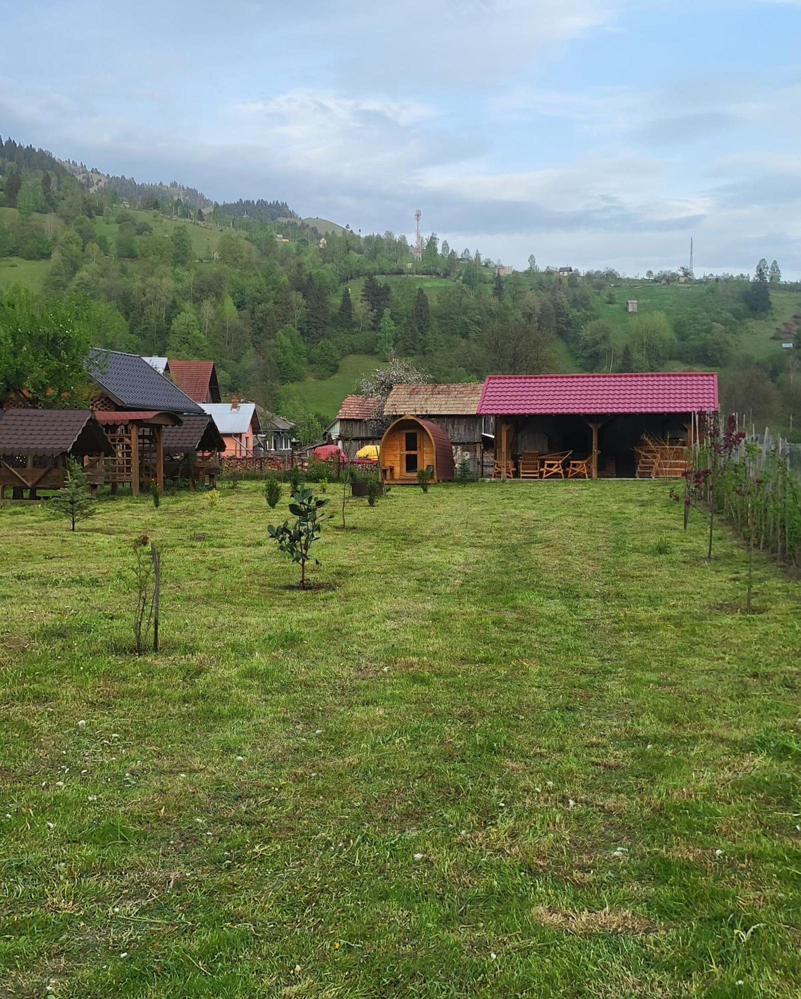 Pensiunea Rozmarin * Borca