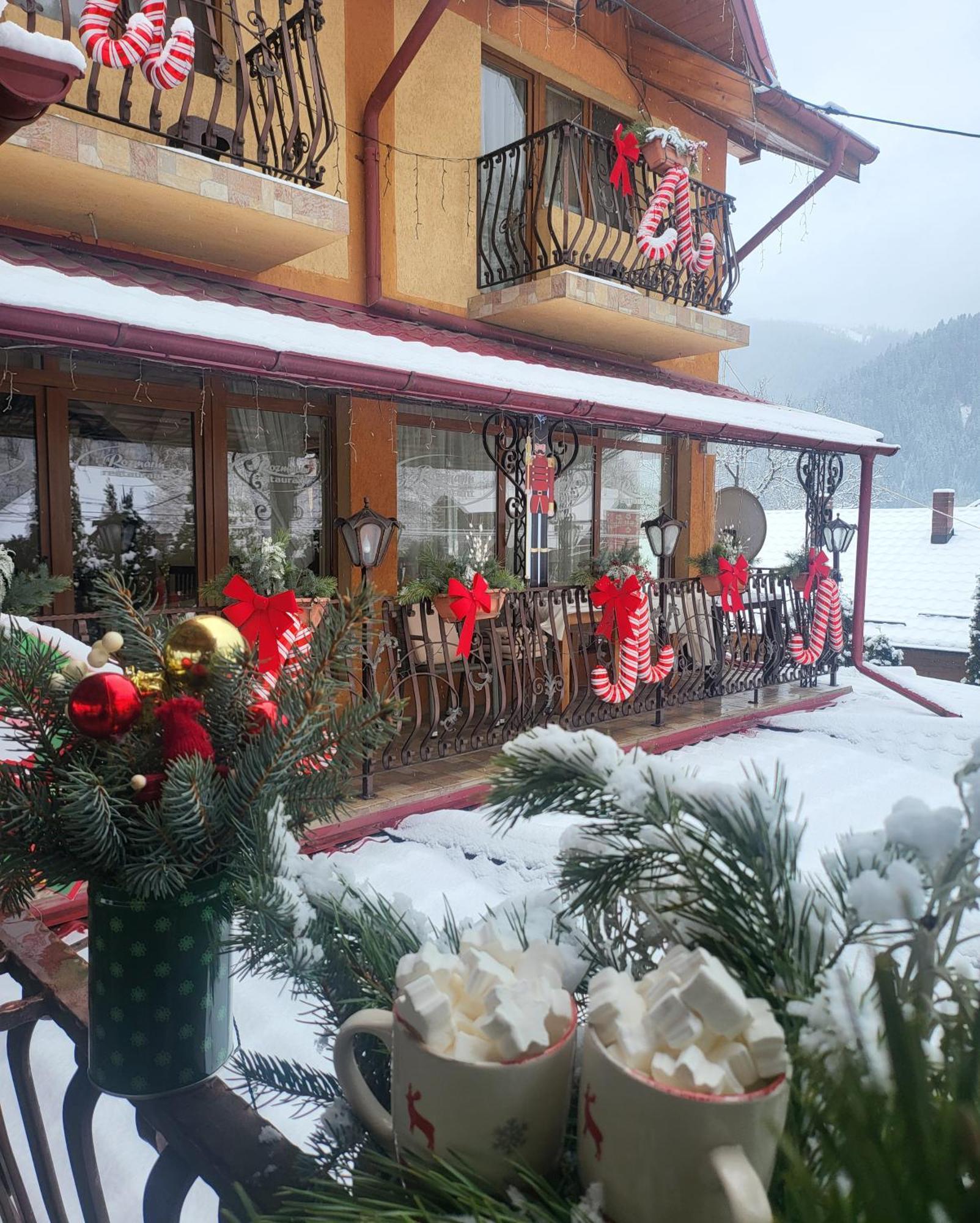 Pensiunea Rozmarin Guest house *
