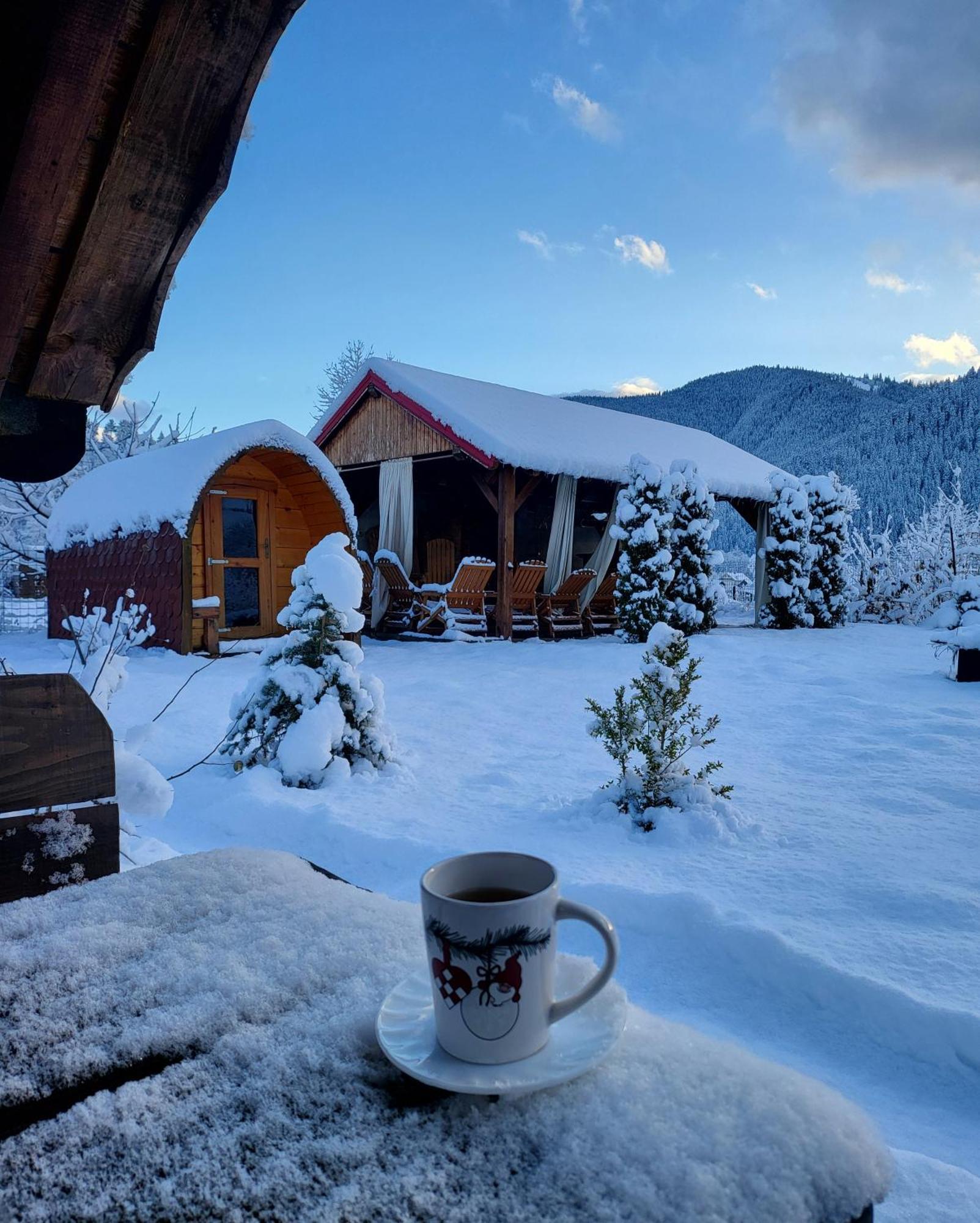 Guest house Pensiunea Rozmarin Borca