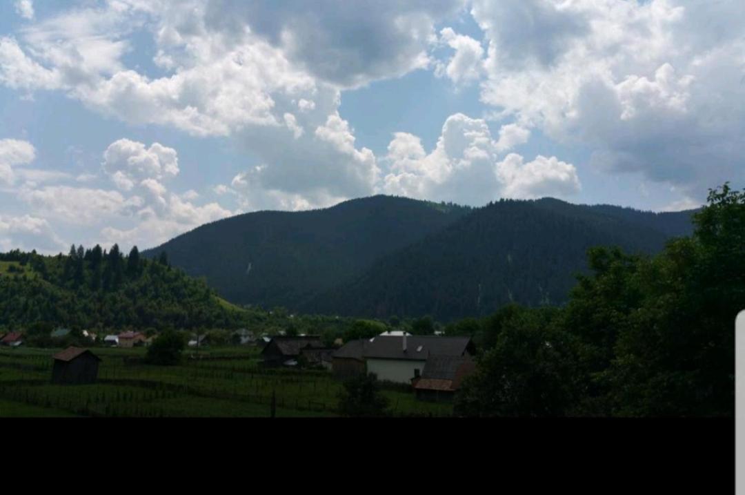 Pensiunea Rozmarin * Borca