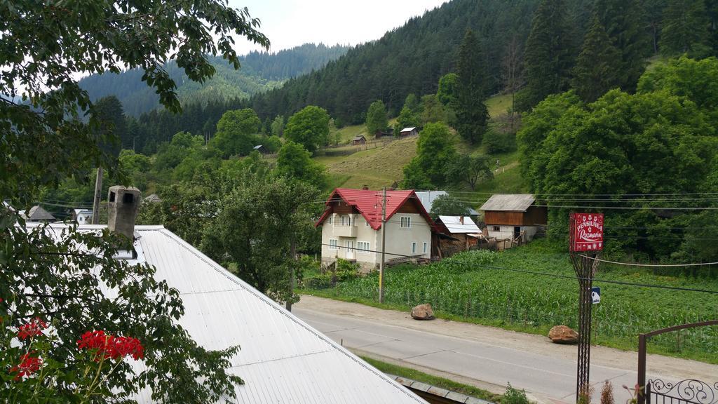 Pensiune Pensiunea Rozmarin Borca